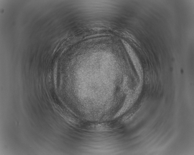 X0000067920365200605041715