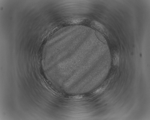 X0000067920366200605041715