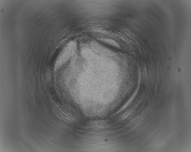 X0000067920367200605041715