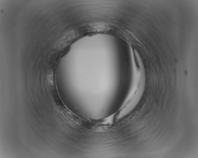 X0000067920368200605041715
