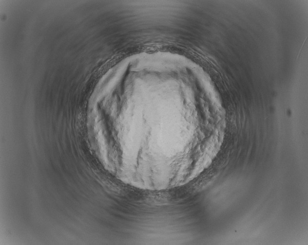 X0000067920369200605041715