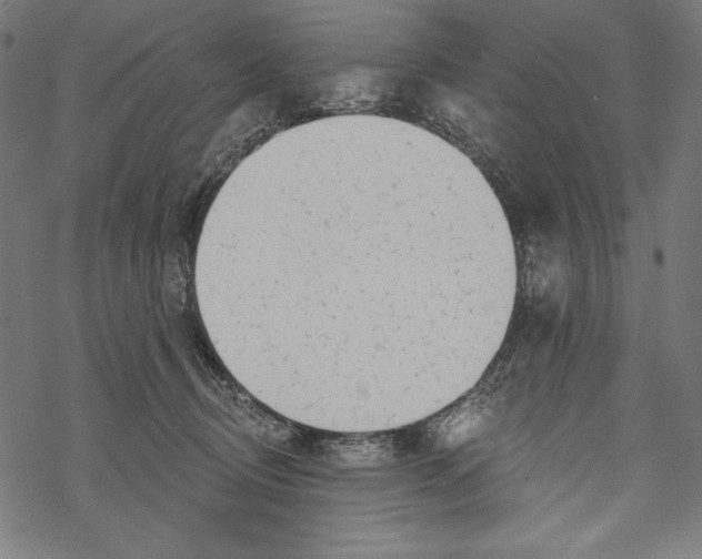 X0000067920370200605041715
