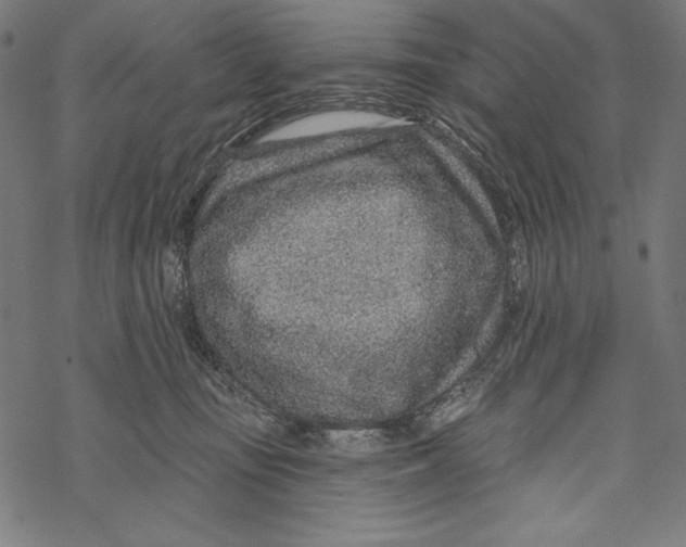 X0000067920371200605041715