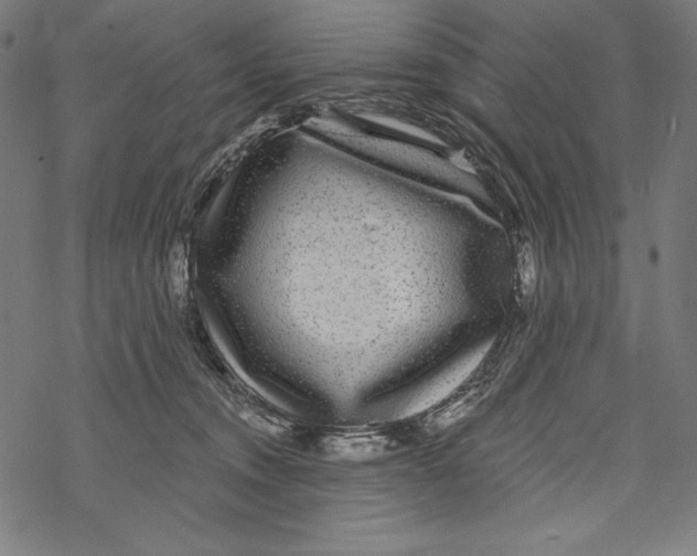 X0000067920372200605041715