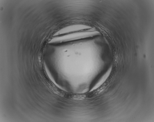 X0000067920373200605041715