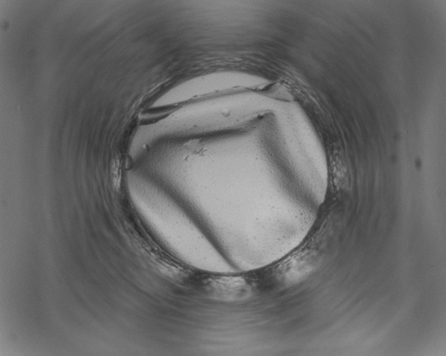 X0000067920374200605041715