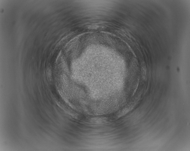 X0000067920375200605041715