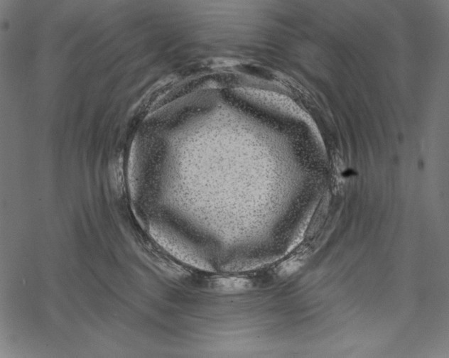 X0000067920376200605041715