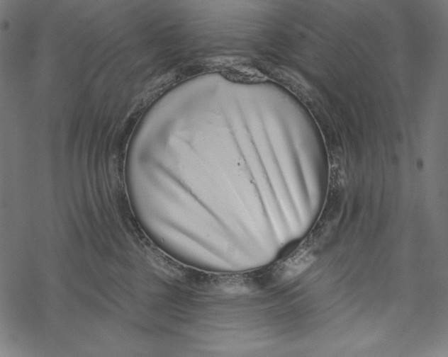 X0000067920377200605041715