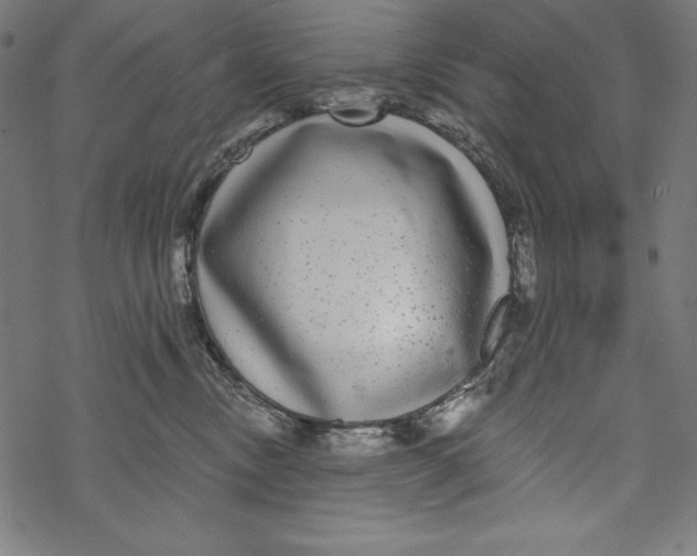 X0000067920378200605041715