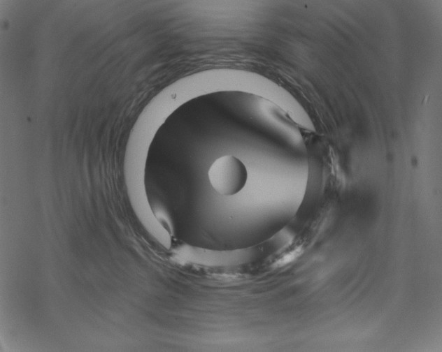 X0000067920380200605041715
