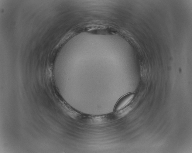 X0000067920382200605041715