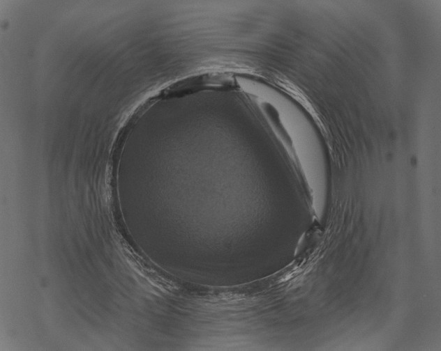 X0000067920387200605041714