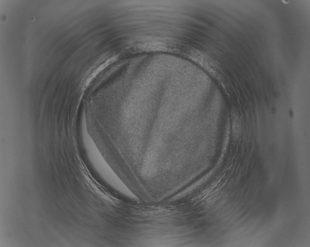 X0000067920390200605041714