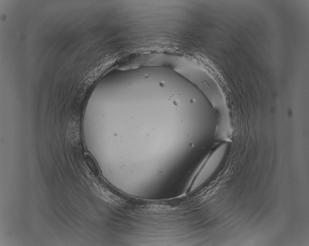 X0000067920393200605041714