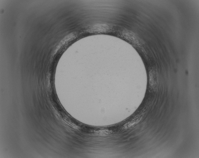 X0000067920396200605041714