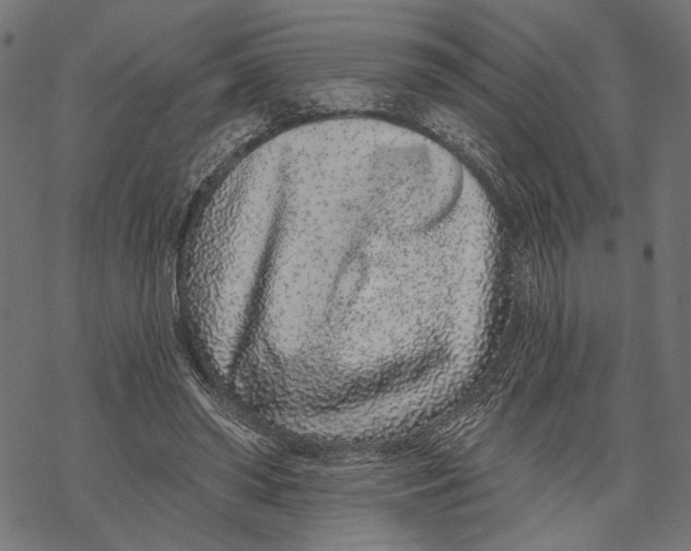 X0000067920398200605041714
