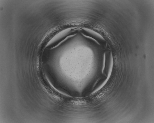X0000067920400200605041714