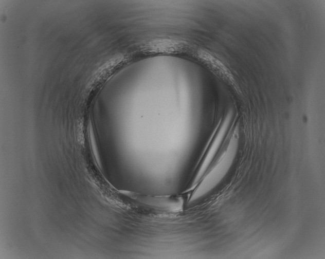 X0000067920403200605041714