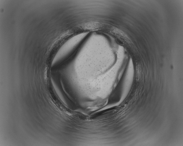 X0000067920404200605041714