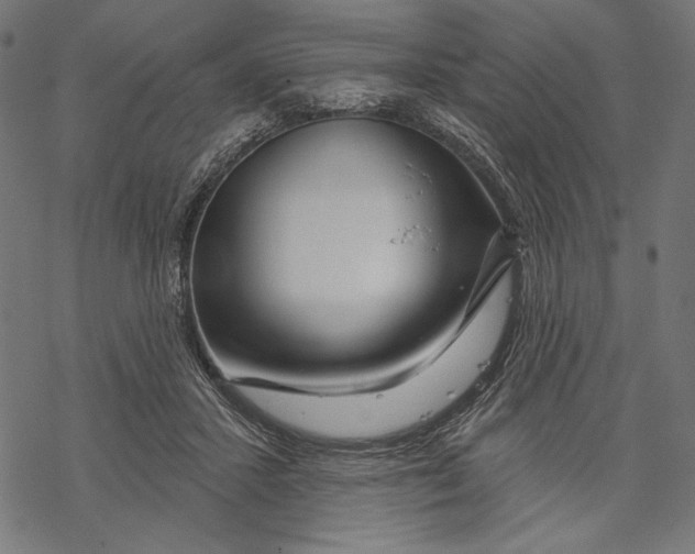 X0000067920407200605041714