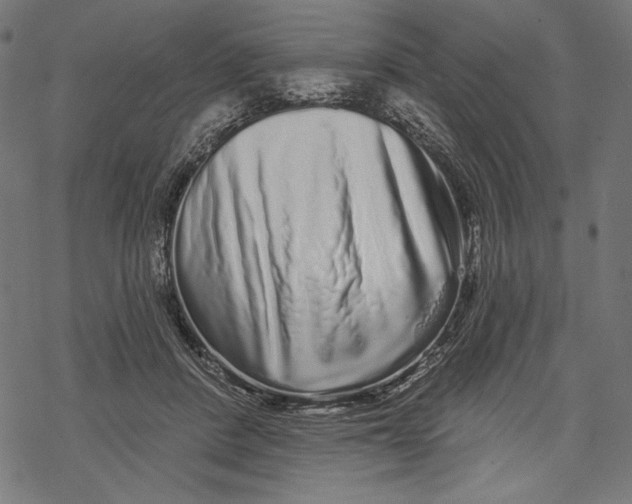 X0000067920408200605041714