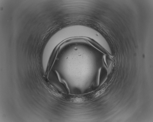 X0000067920412200605041714