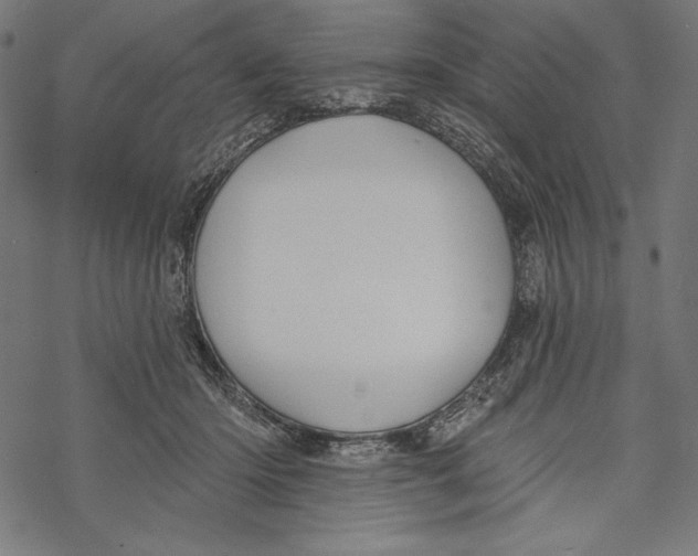 X0000067920414200605041714