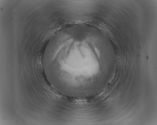 X0000067920415200605041714