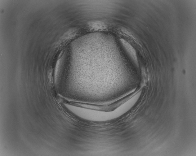 X0000067920417200605041714
