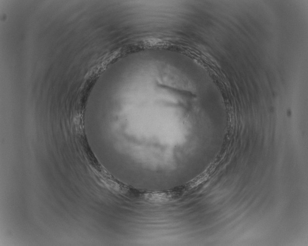 X0000067920419200605041714
