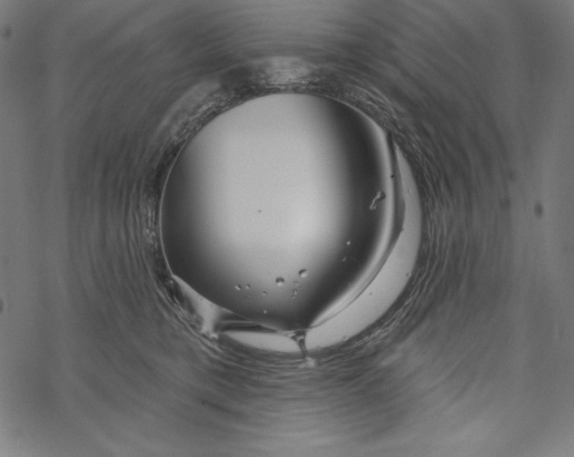 X0000067920421200605041714