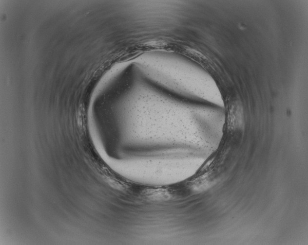 X0000067920424200605041714
