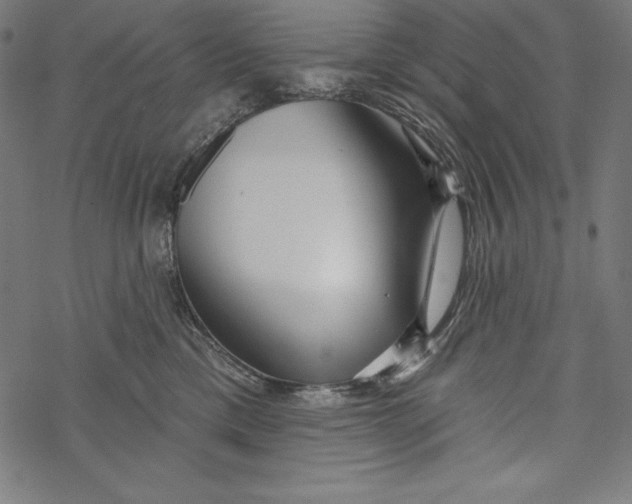 X0000067920425200605041714