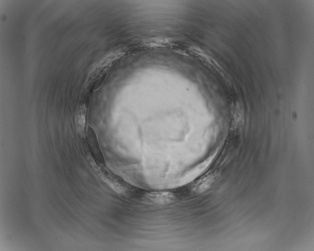 X0000067920427200605041714