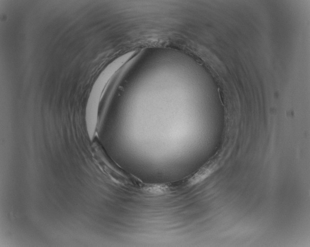 X0000067920432200605041714