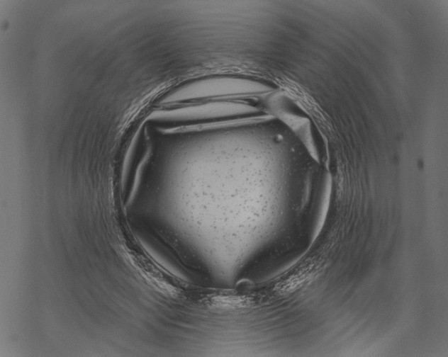 X0000067920442200605041713