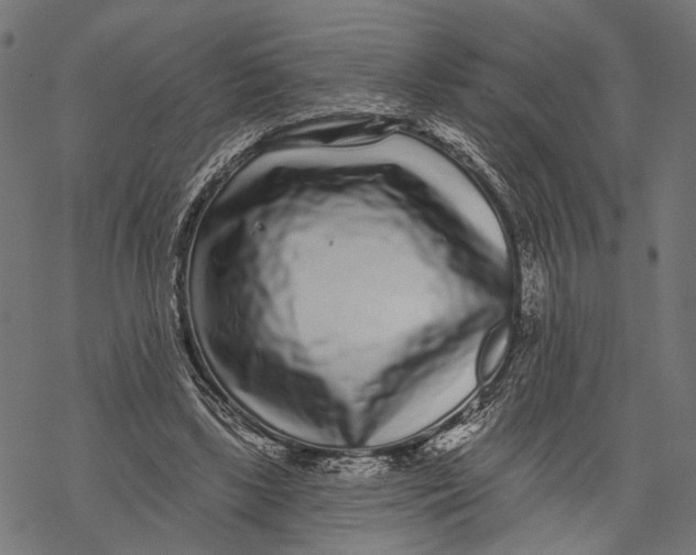 X0000067920443200605041713