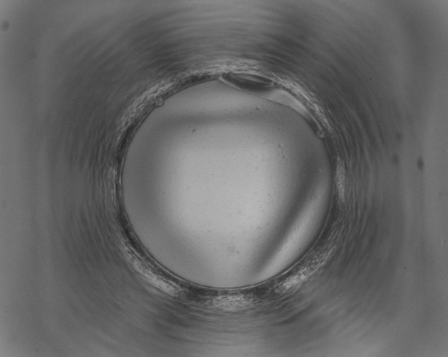 X0000067920445200605041713