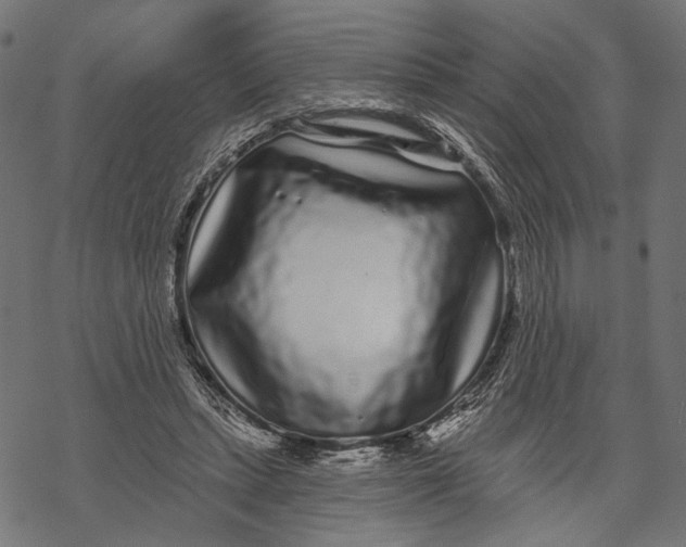 X0000067920447200605041713
