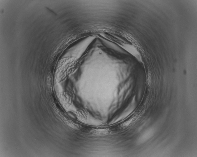 X0000067920449200605041713