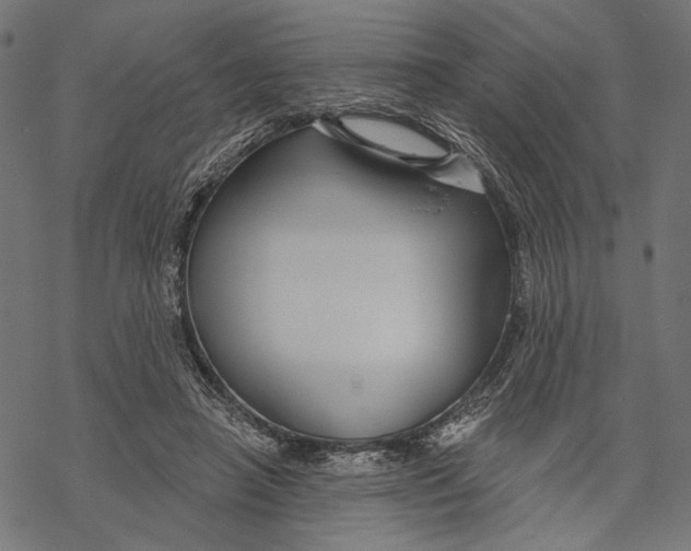 X0000067920450200605041713