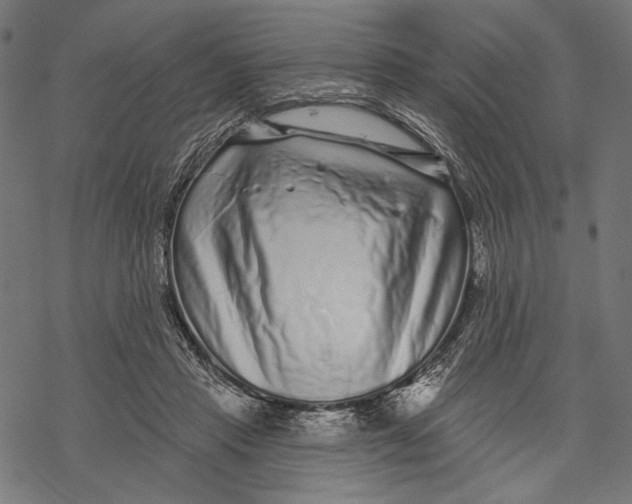 X0000067920453200605041713