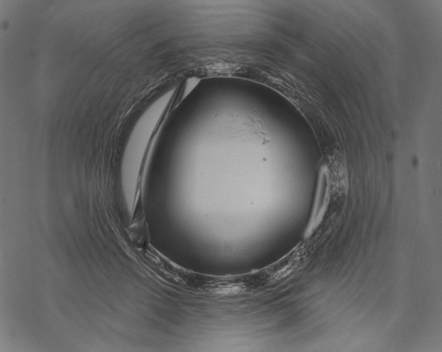 X0000067920456200605041713