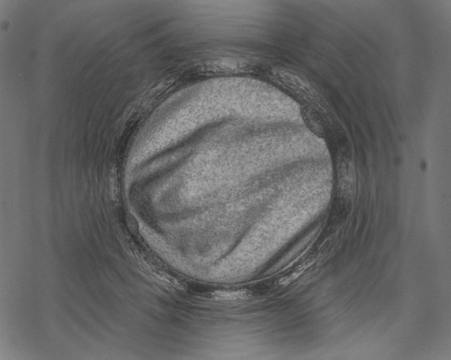 X0000067920457200605041713
