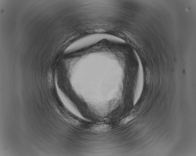 X0000067920459200605041713