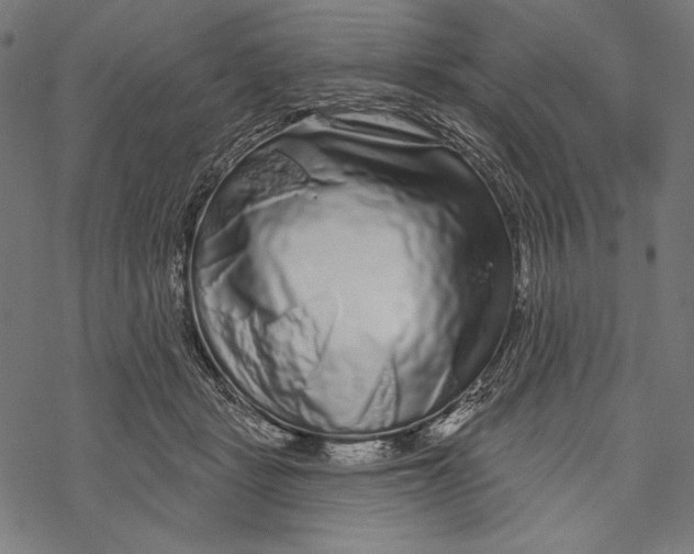 X0000067920461200605041713