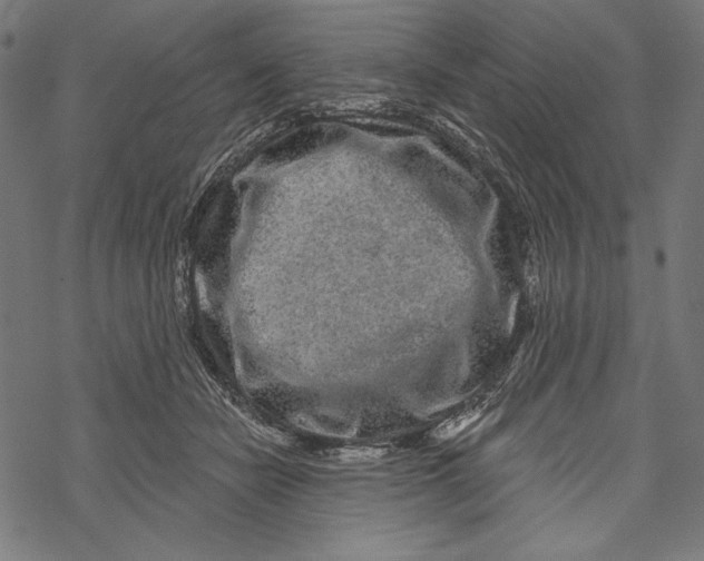 X0000067920462200605041713