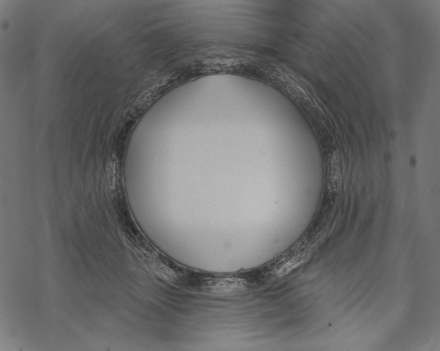 X0000067920463200605041713