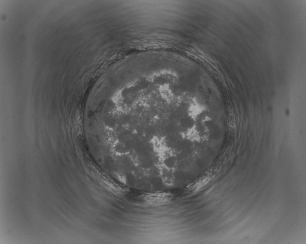 X0000067920465200605041713